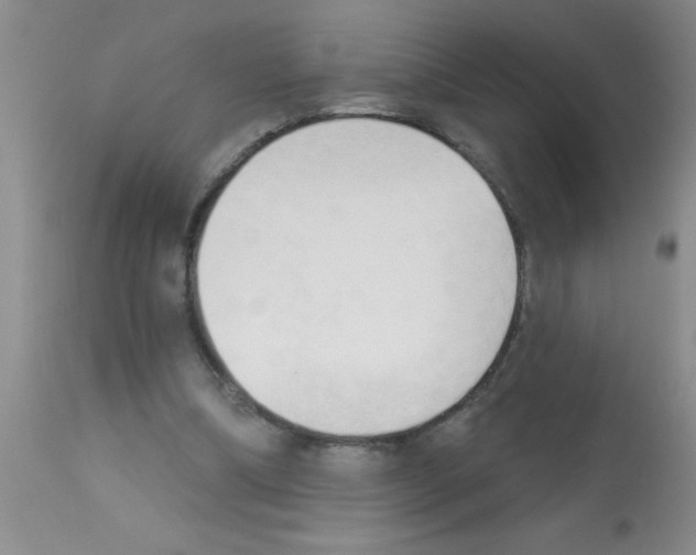 X0000113130298200910161139