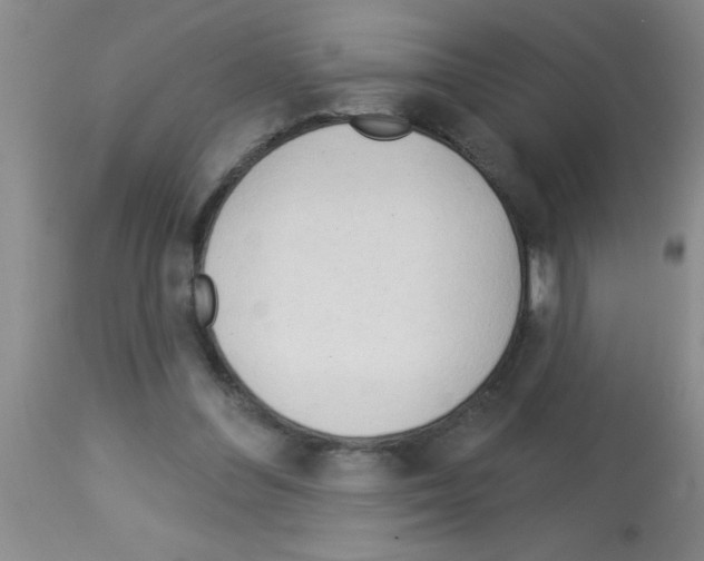 X0000113130300200910161139