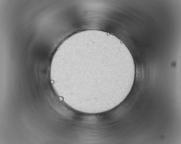 X0000113130301200910161139