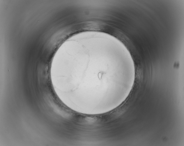 X0000113130302200910161139