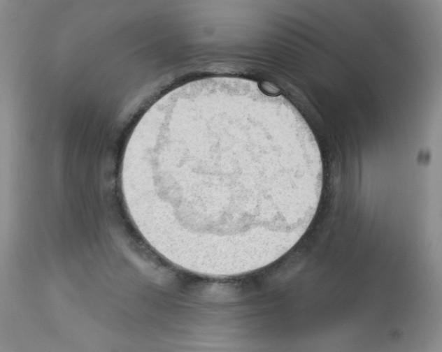 X0000113130303200910161139