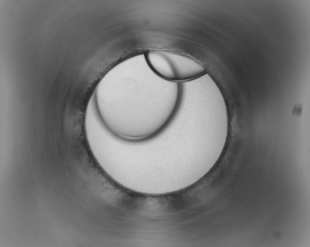 X0000113130305200910161139