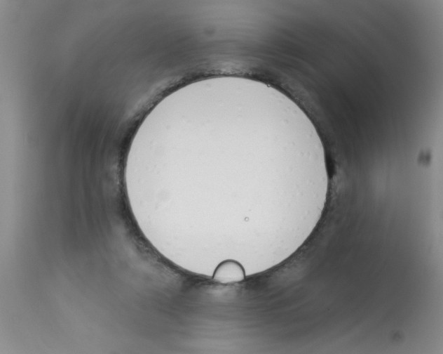 X0000113130306200910161139