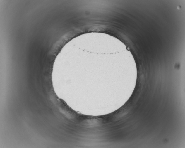 X0000113130307200910161139