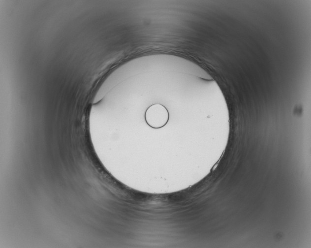 X0000113130308200910161139
