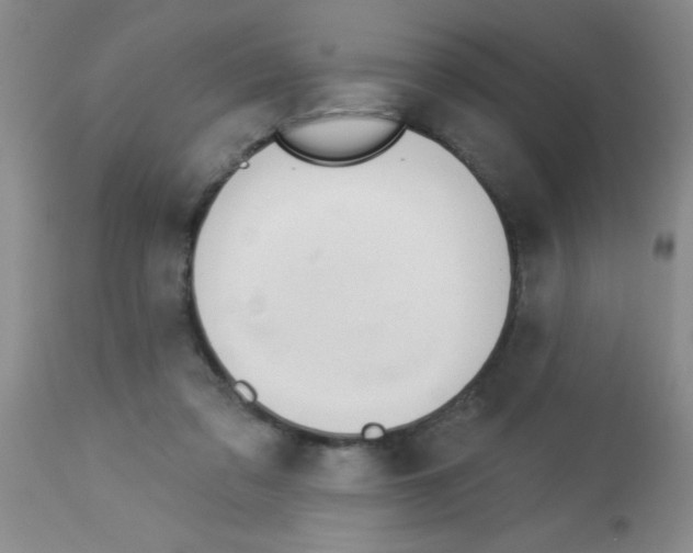 X0000113130309200910161139