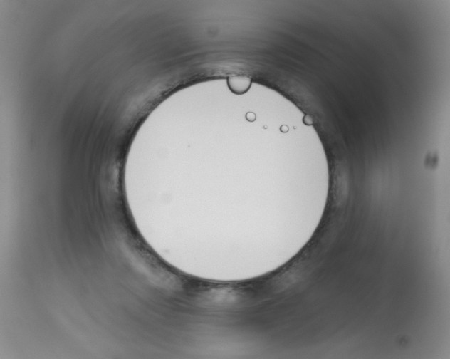 X0000113130310200910161139