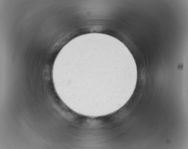 X0000113130311200910161139