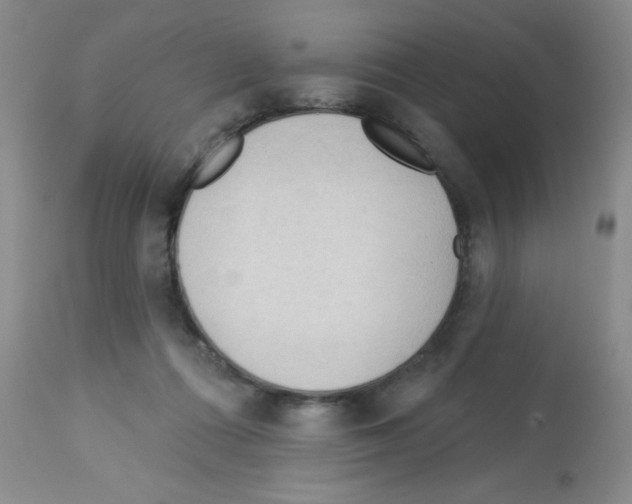 X0000113130312200910161139