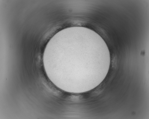 X0000113130314200910161139