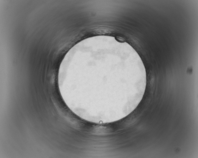 X0000113130315200910161139