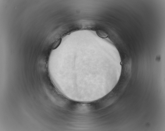 X0000113130316200910161139