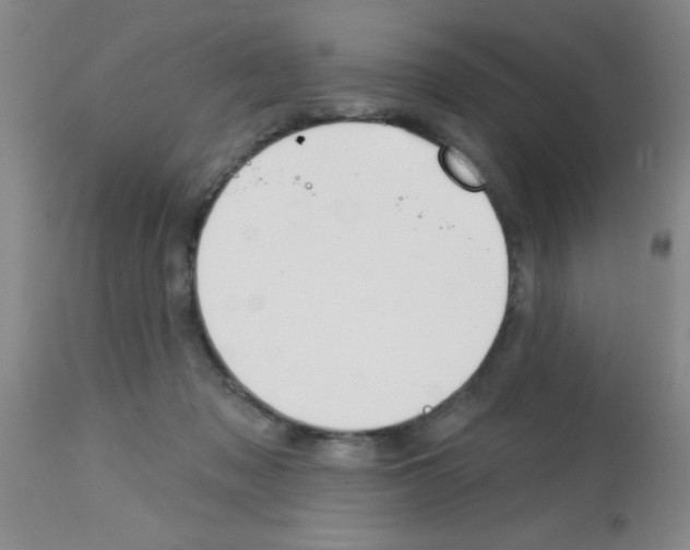 X0000113130317200910161139