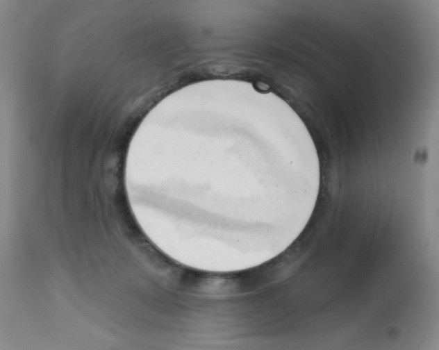 X0000113130319200910161139