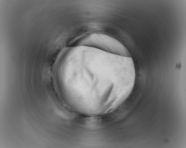 X0000113130320200910161139