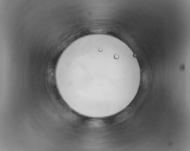 X0000113130322200910161139