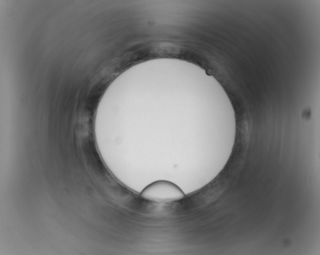 X0000113130323200910161139