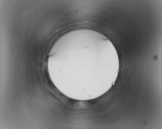X0000113130324200910161139