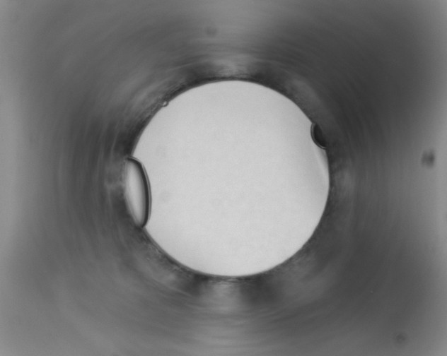 X0000113130325200910161139