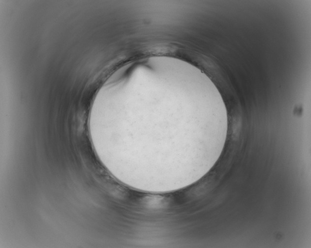 X0000113130326200910161139