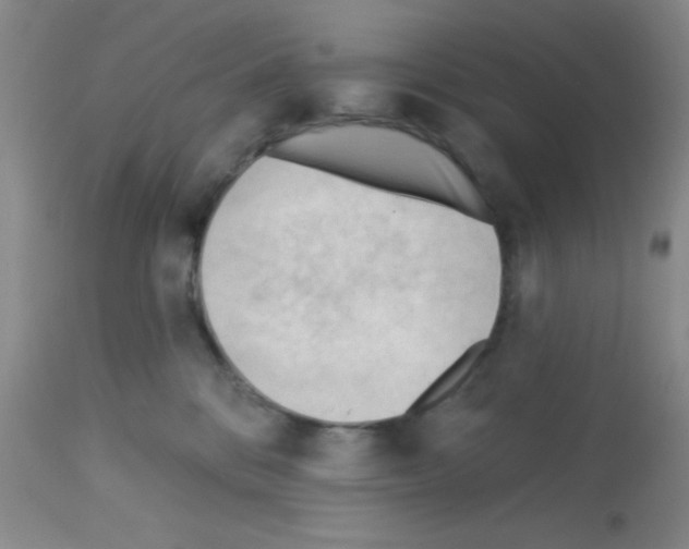 X0000113130328200910161138