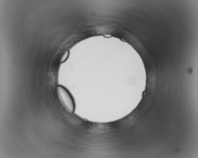 X0000113130329200910161138