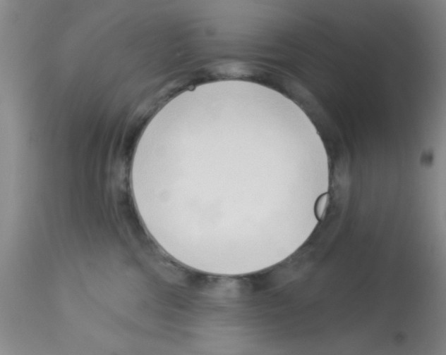 X0000113130330200910161138