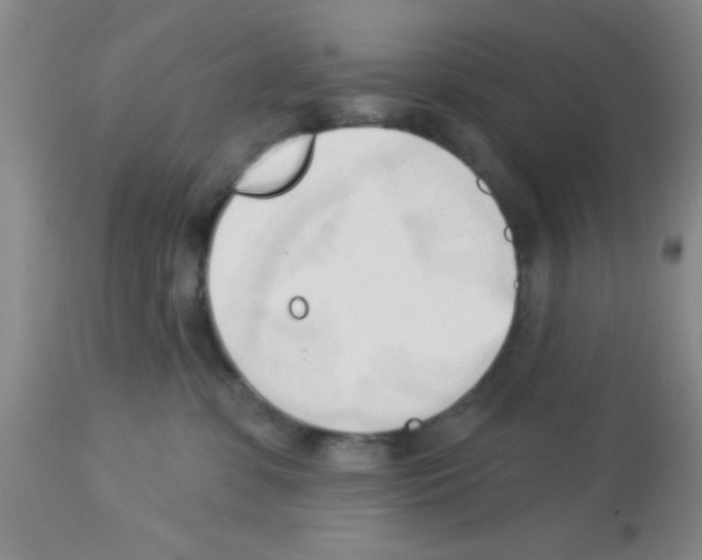X0000113130331200910161138