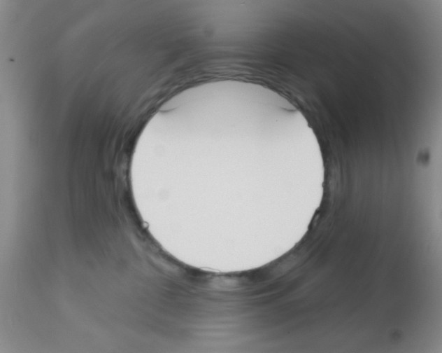 X0000113130332200910161138