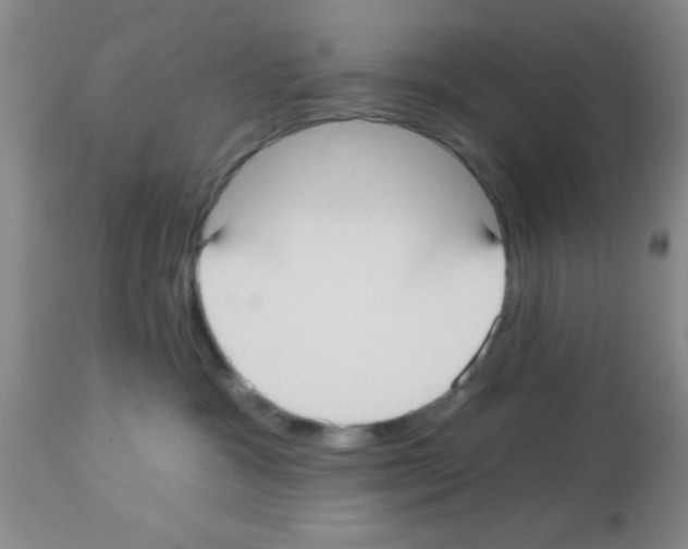 X0000113130333200910161138