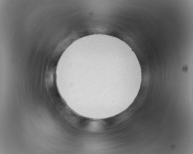 X0000113130334200910161138