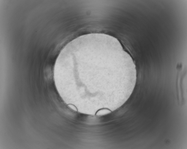 X0000113130335200910161138