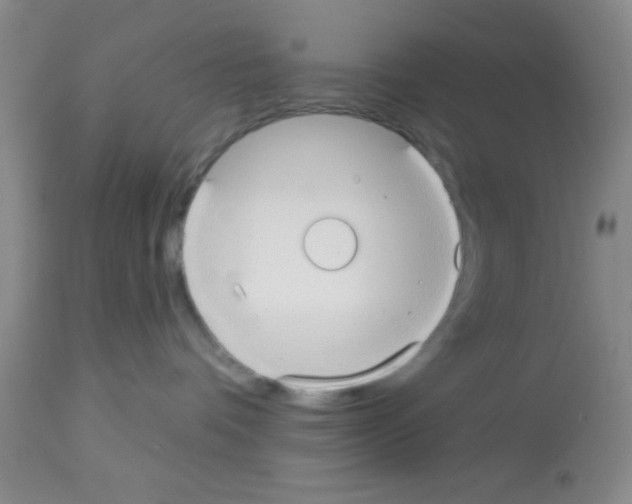 X0000113130336200910161138