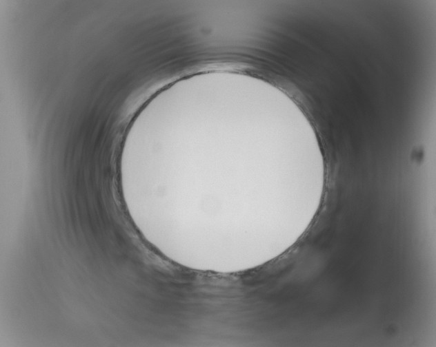 X0000113130337200910161137