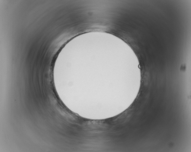 X0000113130338200910161137