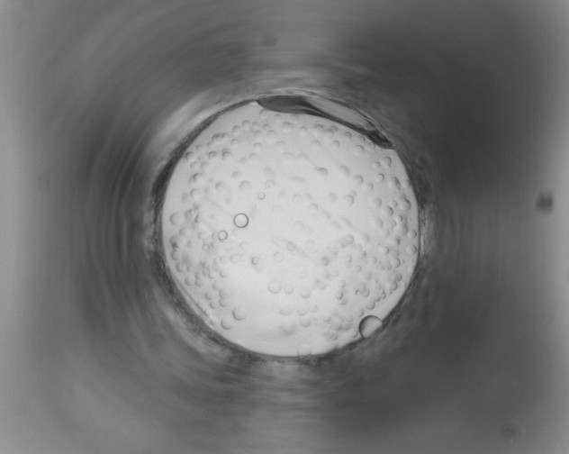 X0000113130339200910161137