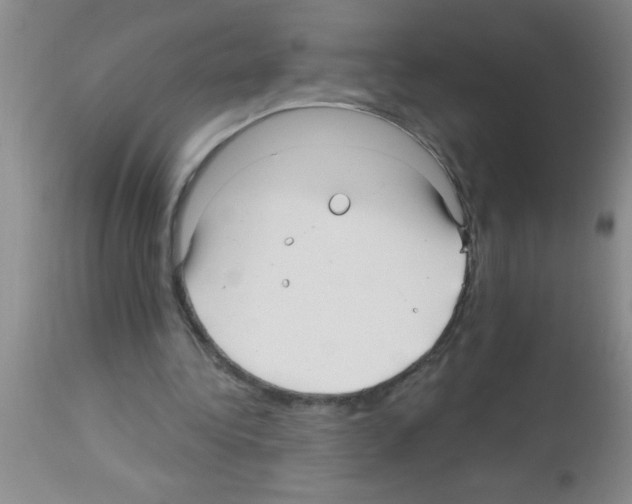 X0000113130340200910161137