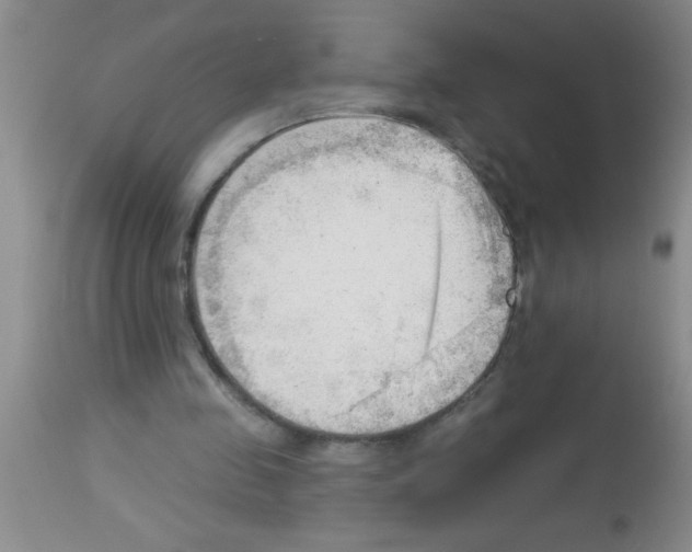 X0000113130341200910161137