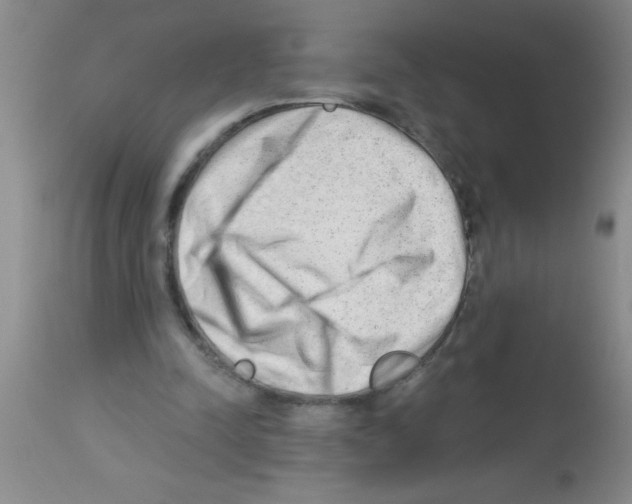 X0000113130342200910161137
