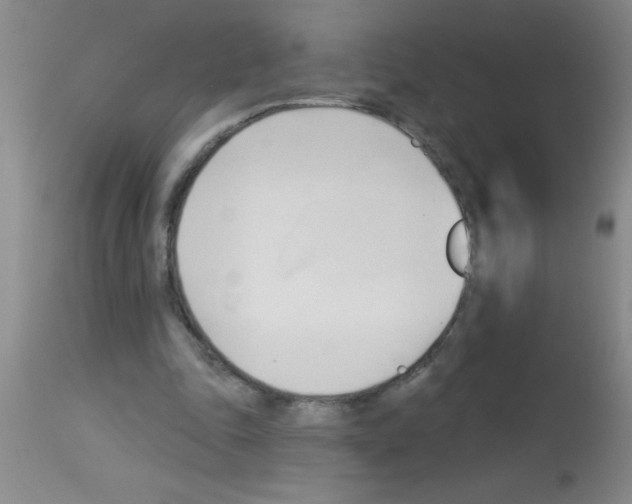 X0000113130343200910161138