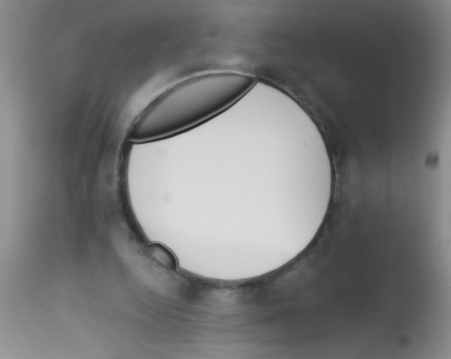 X0000113130344200910161138