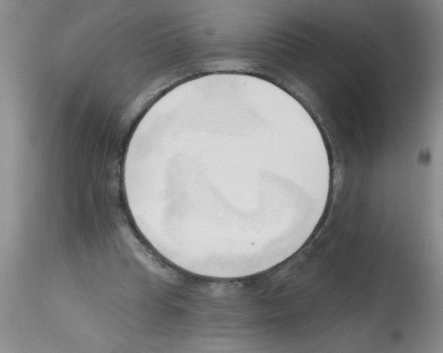X0000113130345200910161138