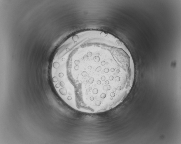 X0000113130346200910161138