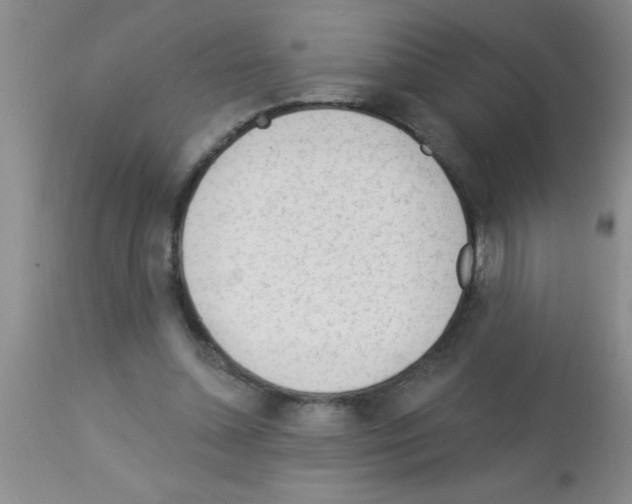 X0000113130348200910161138