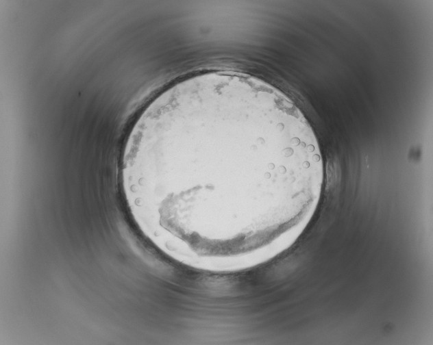X0000113130349200910161138
