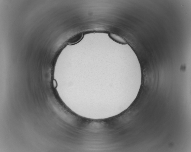 X0000113130350200910161138