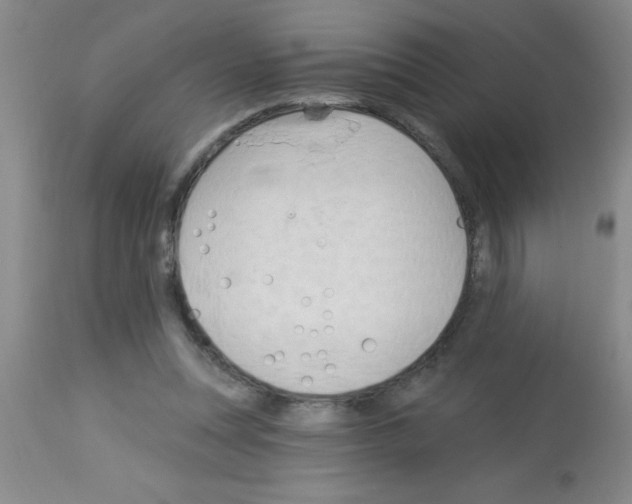 X0000113130351200910161138