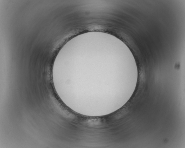 X0000113130353200910161138