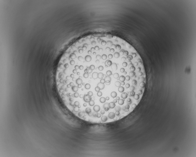 X0000113130354200910161138