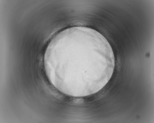X0000113130355200910161138